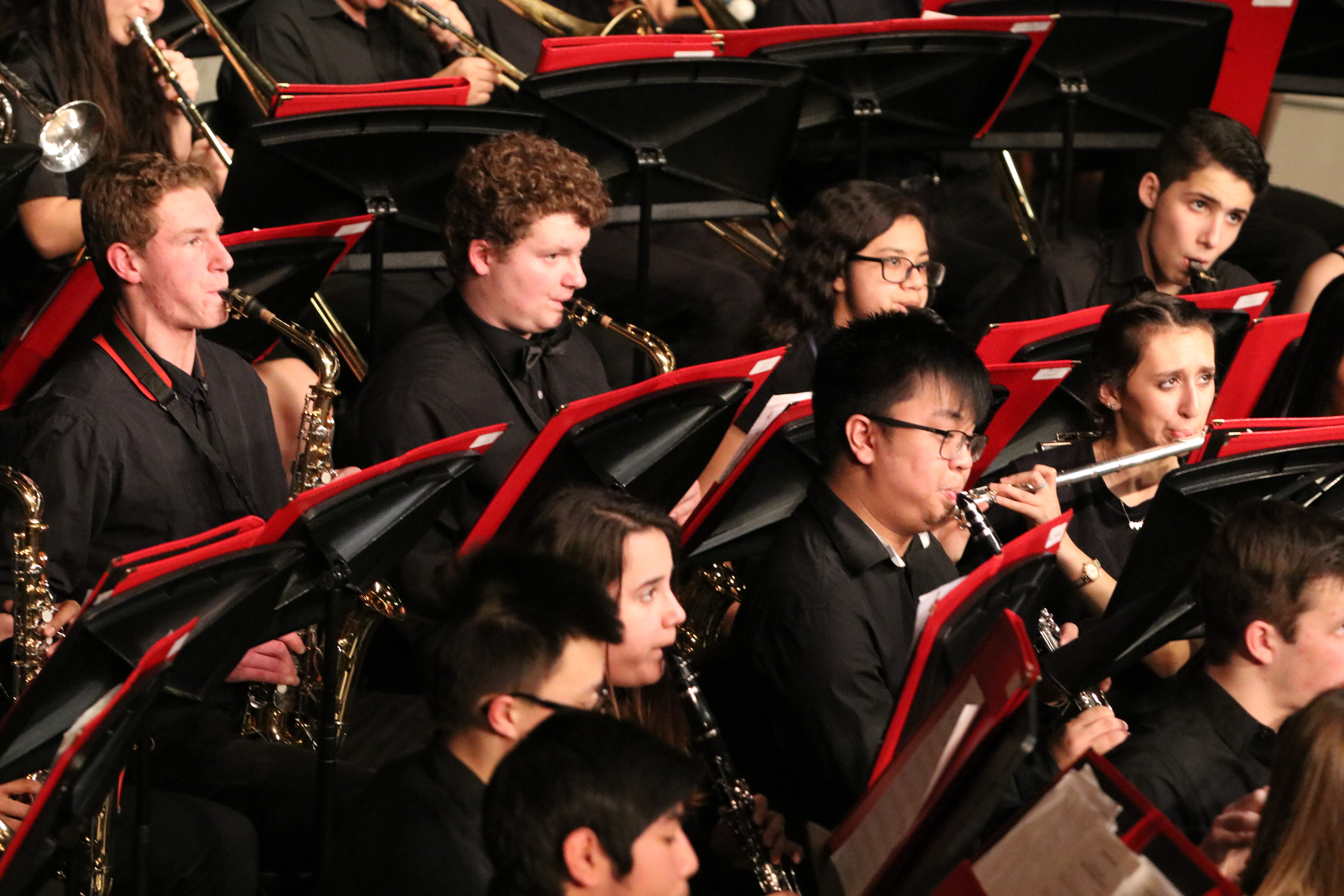 Close-Up shot of some band members playing their instruments at a concert