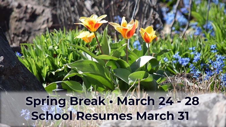 Spring_Break_2025