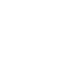 ticket_icon_reversed_copy